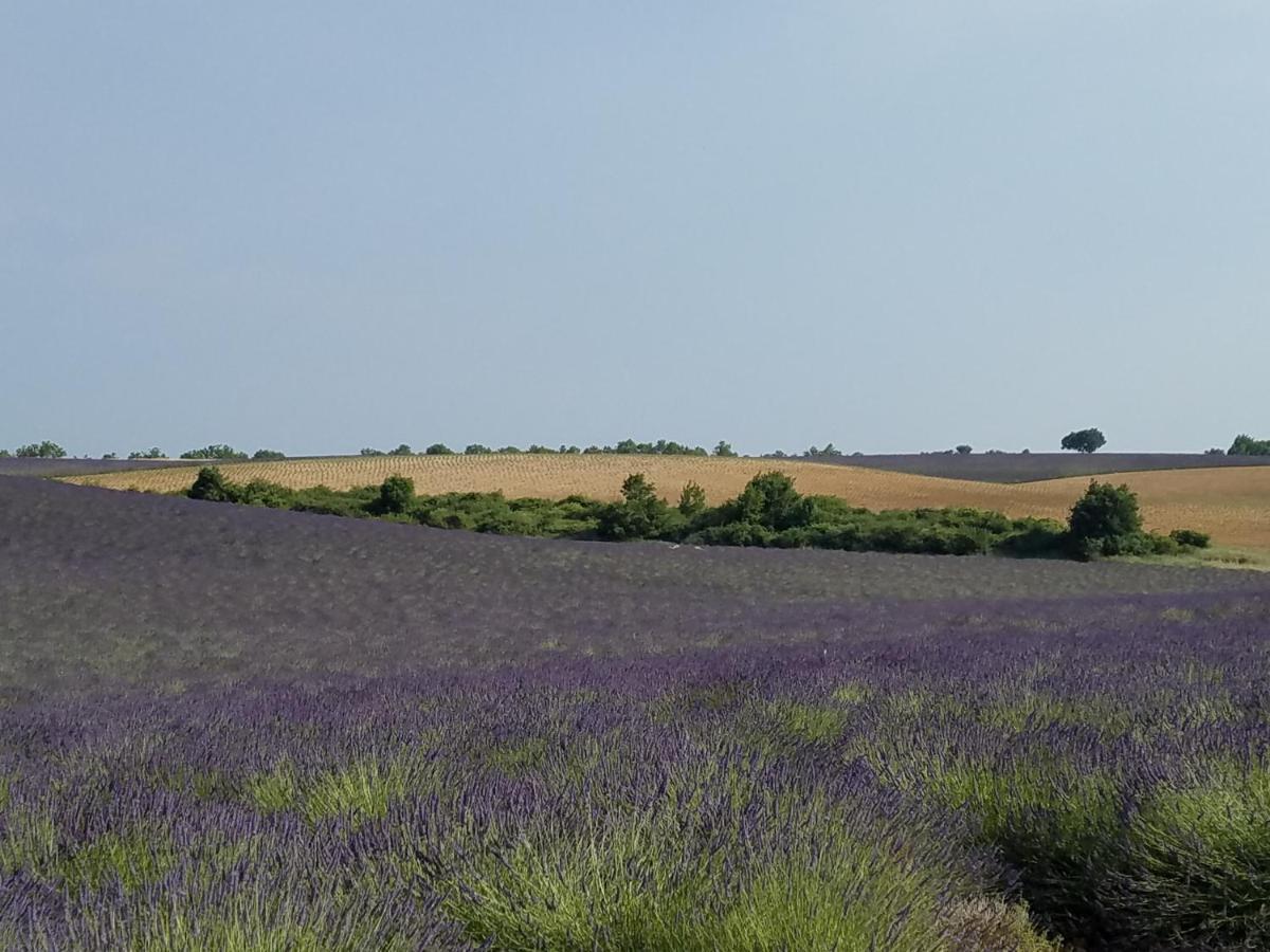Gite Les Fourches Baudinard Exteriér fotografie